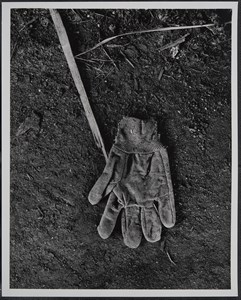 Image description is not available for 2024.066